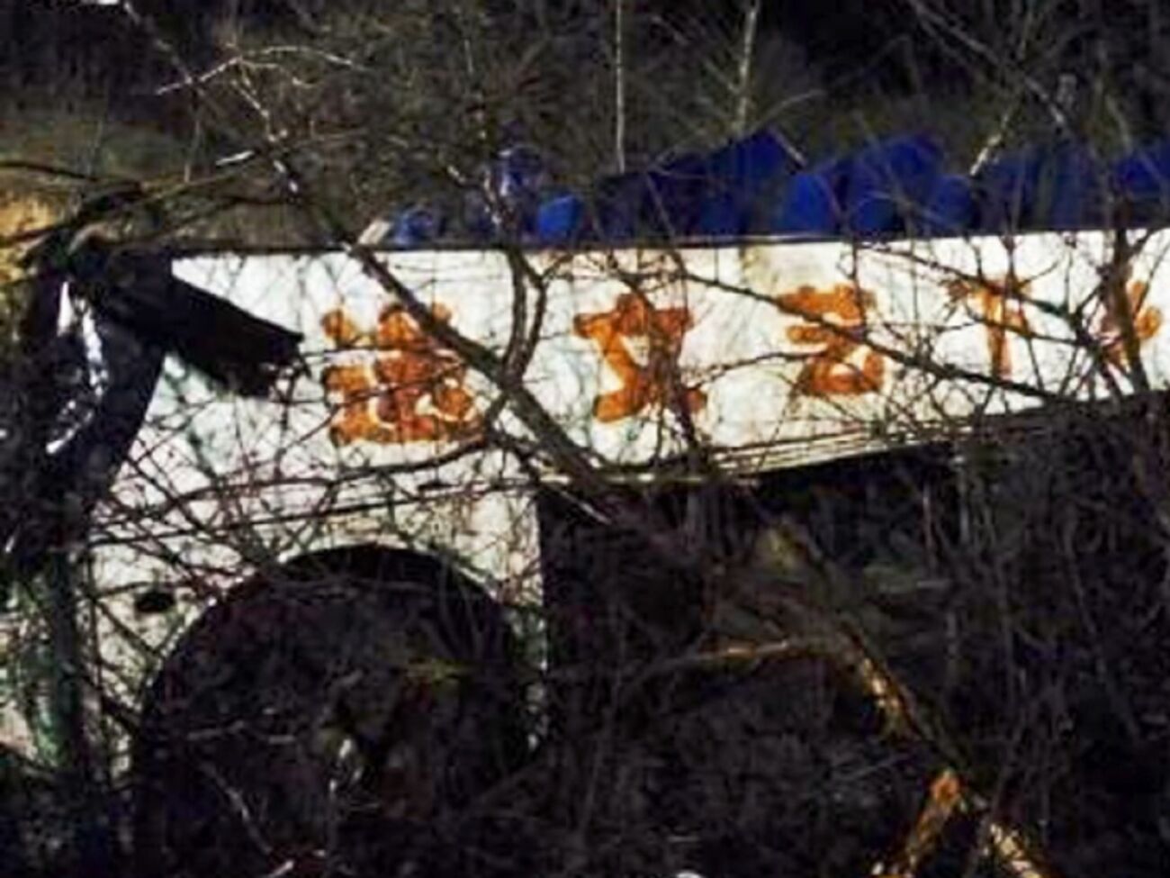 В катастрофе погибли 20 членов труппы