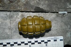 Мужчина заявил, что нашел гранату