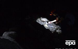 Данные о количестве погибших отличаются