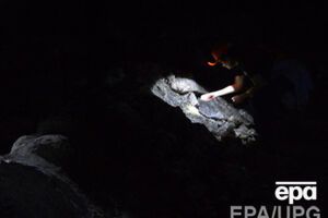 Данные о количестве погибших отличаются