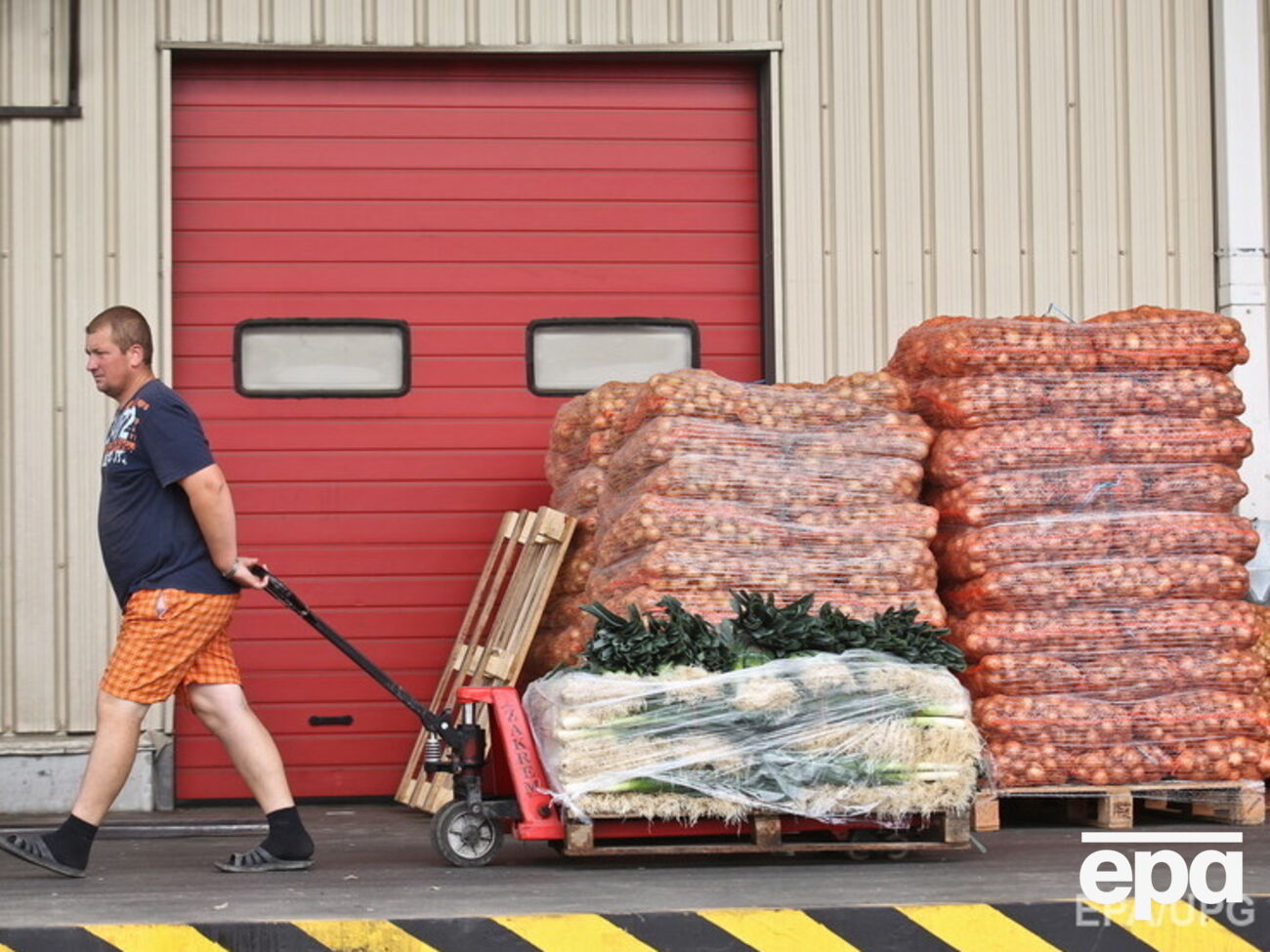 По некоторым позициям ассортимент продуктов в российских торговых сетях упал на 80%