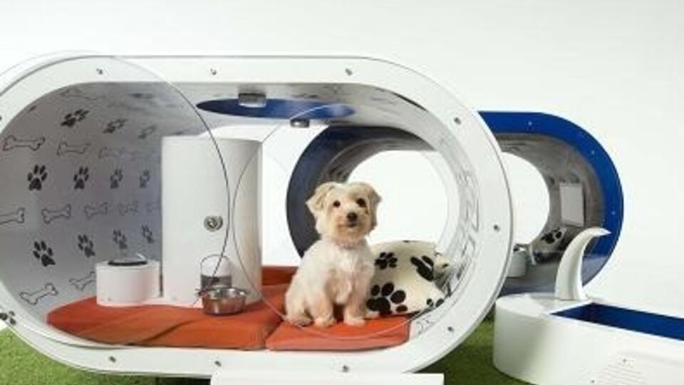 Двухкомнатная будка с газоном и тренажером