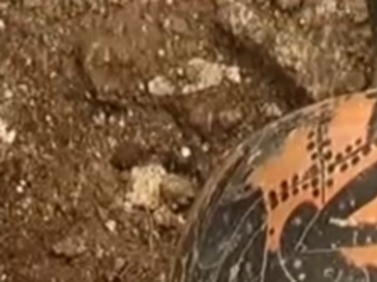 Обнаруженное захоронение относится к Железному веку