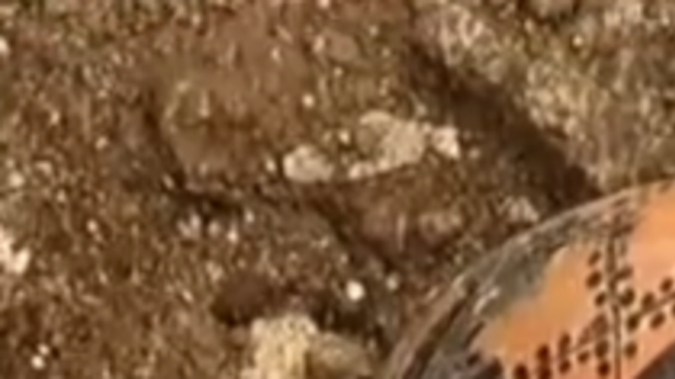 Обнаруженное захоронение относится к Железному веку