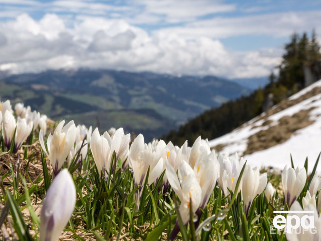 В ближайшие дни будет тепло и солнечно