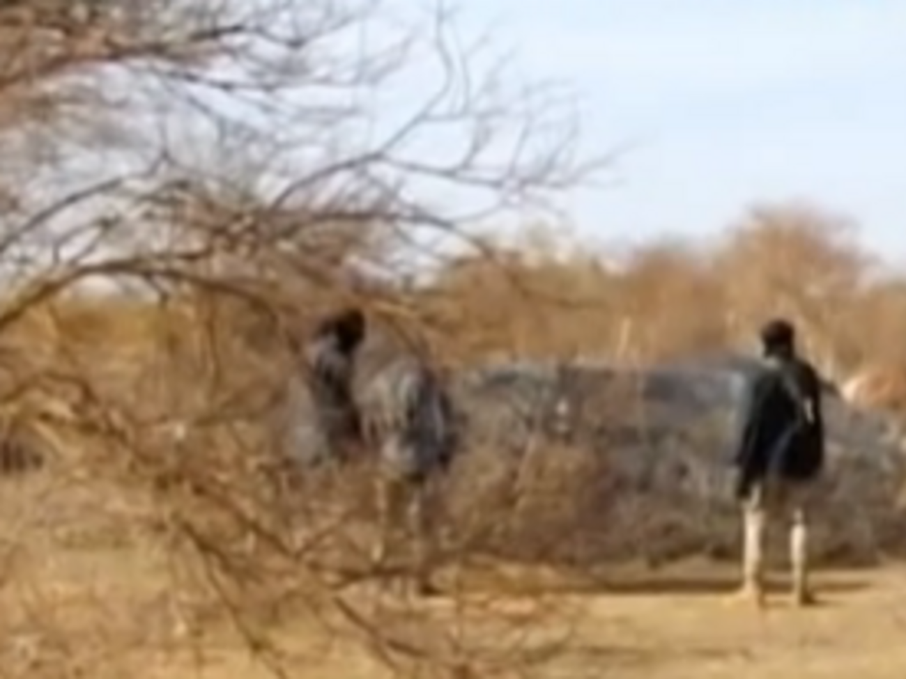 По меньшей мере 12 человек получили ранения