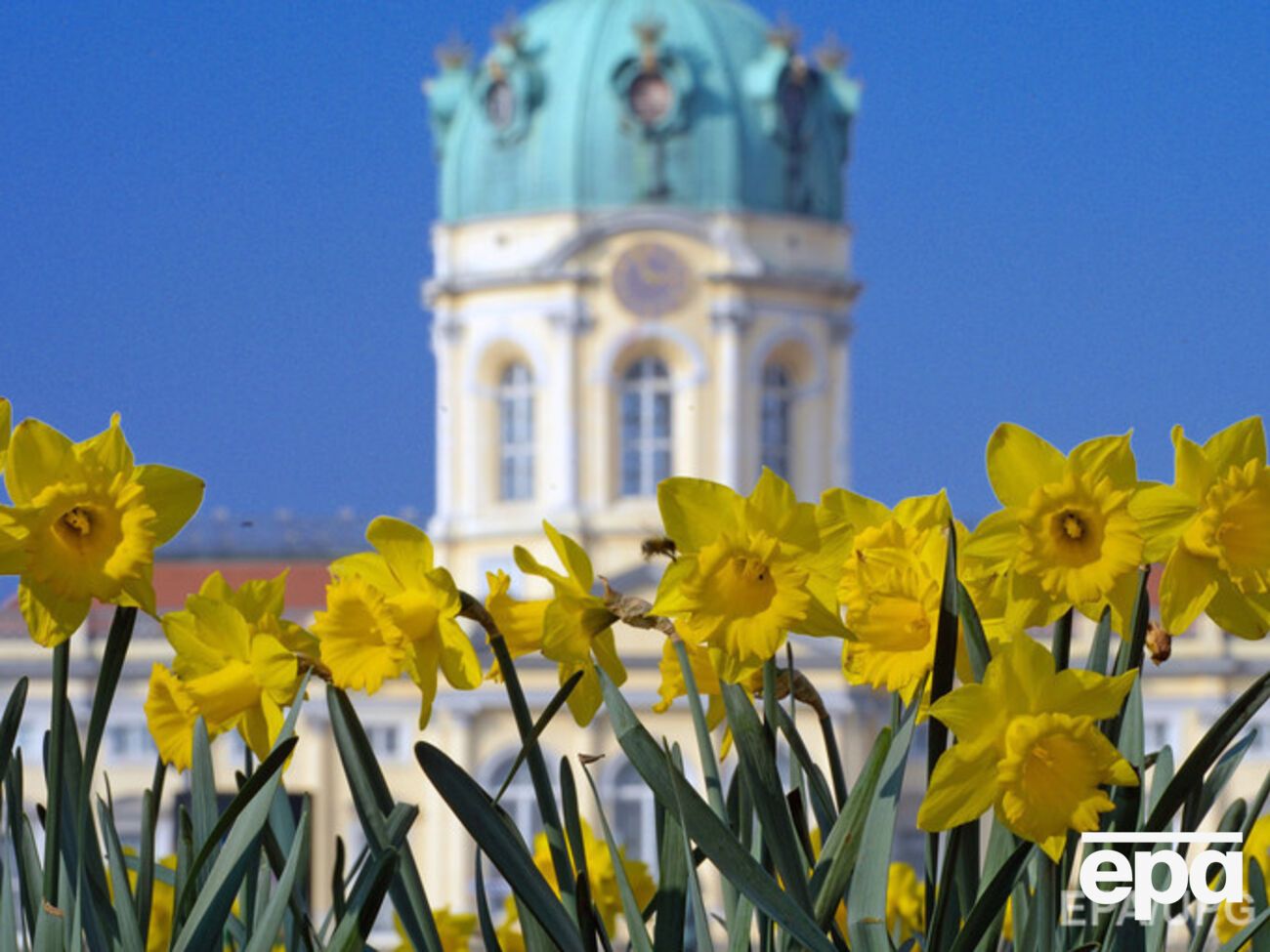 В Киеве до +15