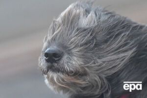 В Украине снова похолодает