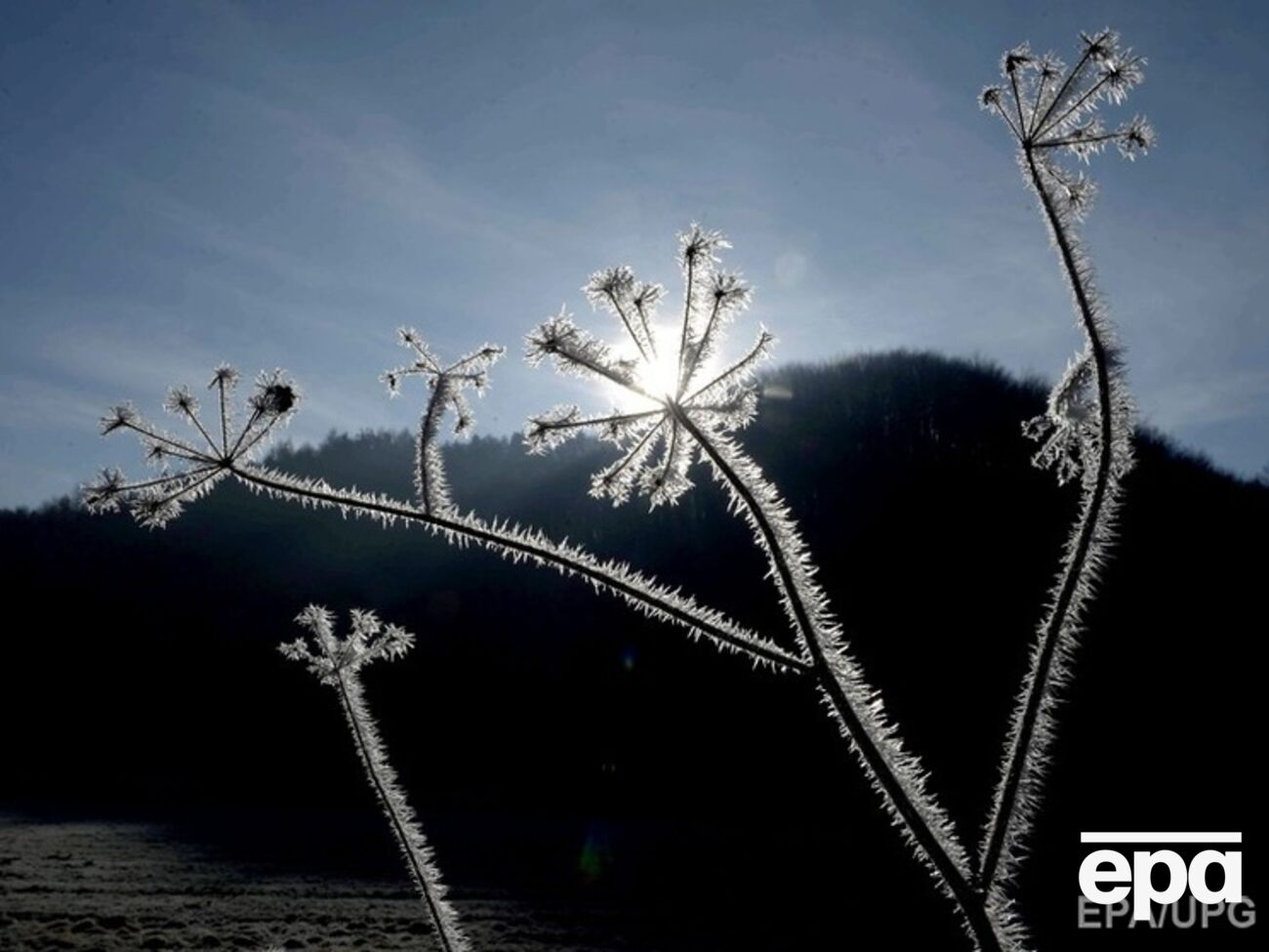 Защита чудесного природного разнообразия Украины отвечает интересам Европы, заявил&nbsp;посол Германии Вайль