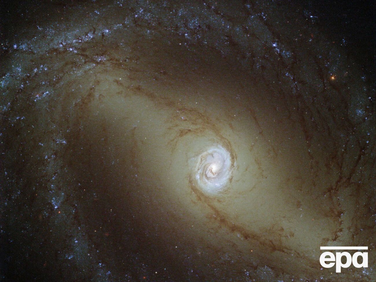 Другие галактики человечество пока что может только наблюдать издалека