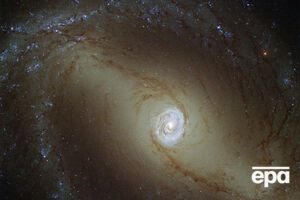 Другие галактики человечество пока что может только наблюдать издалека