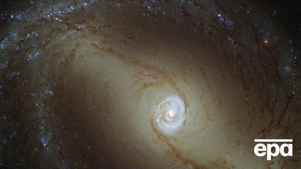 Другие галактики человечество пока что может только наблюдать издалека