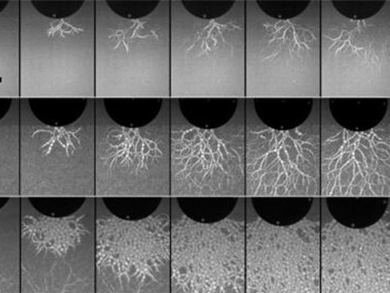 Выводы помогут постройке защитных сооружений