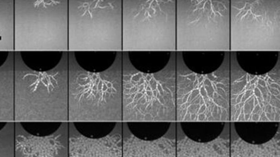 Выводы помогут постройке защитных сооружений