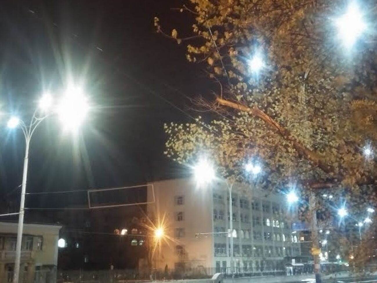 Из-за сильного ветра оказалось парализовано движение троллейбусов на Краснозвездном проспекте