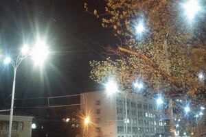 Из-за сильного ветра оказалось парализовано движение троллейбусов на Краснозвездном проспекте