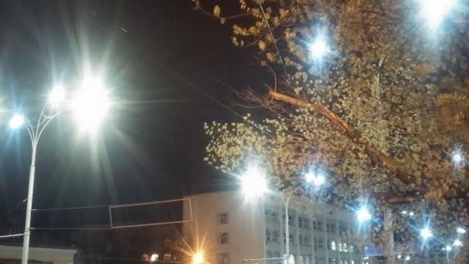 Из-за сильного ветра оказалось парализовано движение троллейбусов на Краснозвездном проспекте