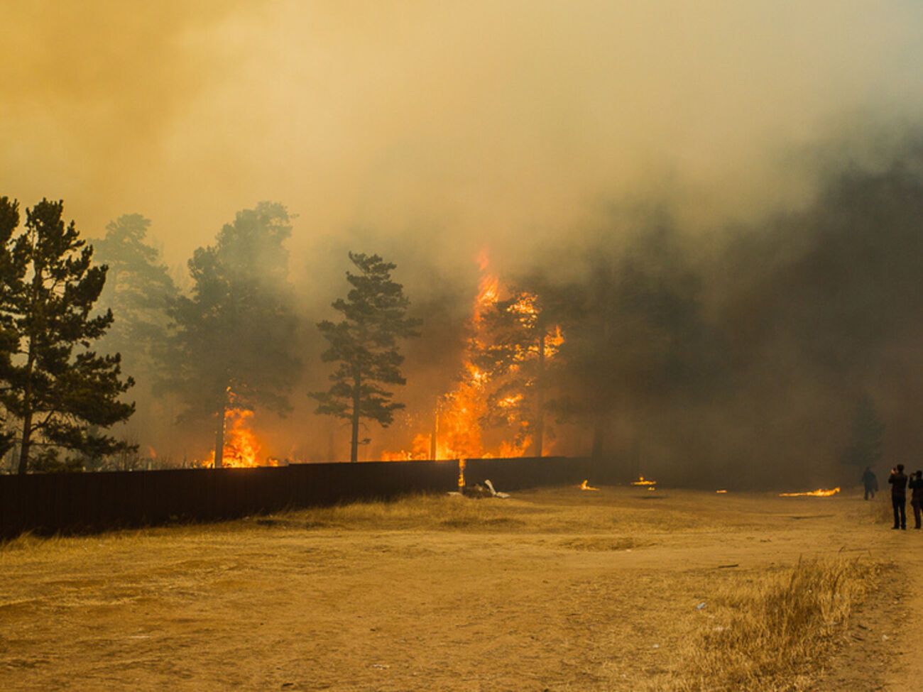 В Забайкалье жертвами лесных пожаров стали три человека, еще 20 получили ранения
