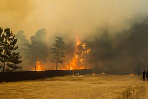 В Забайкалье жертвами лесных пожаров стали три человека, еще 20 получили ранения