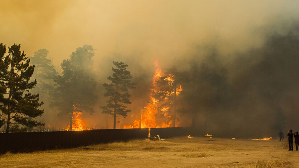 В Забайкалье жертвами лесных пожаров стали три человека, еще 20 получили ранения