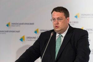 Геращенко высказался за гуманное решение проблемы бездомных животных