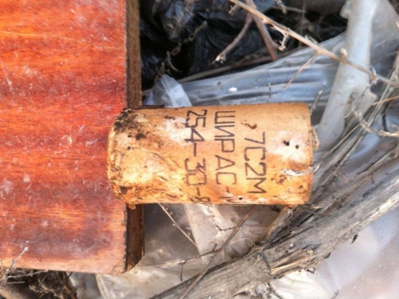 Шашки планировалось использовать на экстремистских акциях