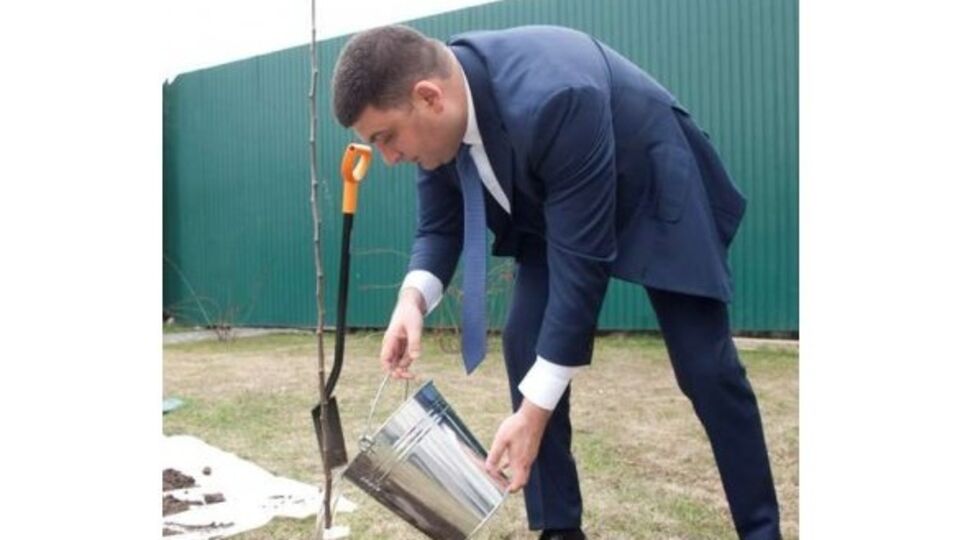 Гройсман посадил яблоню