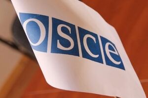 Заместитель постпреда РФ при ОБСЕ обвинил Украину в борьбе с "бытовым сепаратизмом"