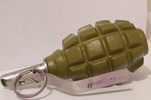 В поезде нашли гранату