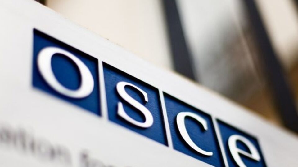 Заместитель постпреда РФ при ОБСЕ: В Украине из коллаборационистов СС делают национальных героев