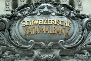 Галли: Представители швейцарской юстиции впервые приняли положительное решение по юридическому запросу по "делу Януковича"