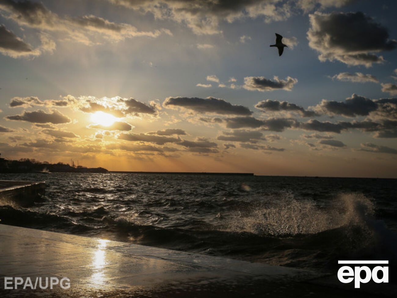 Количество круизов на Черном море сократилось из-за невозможности заходить в порты Крыма