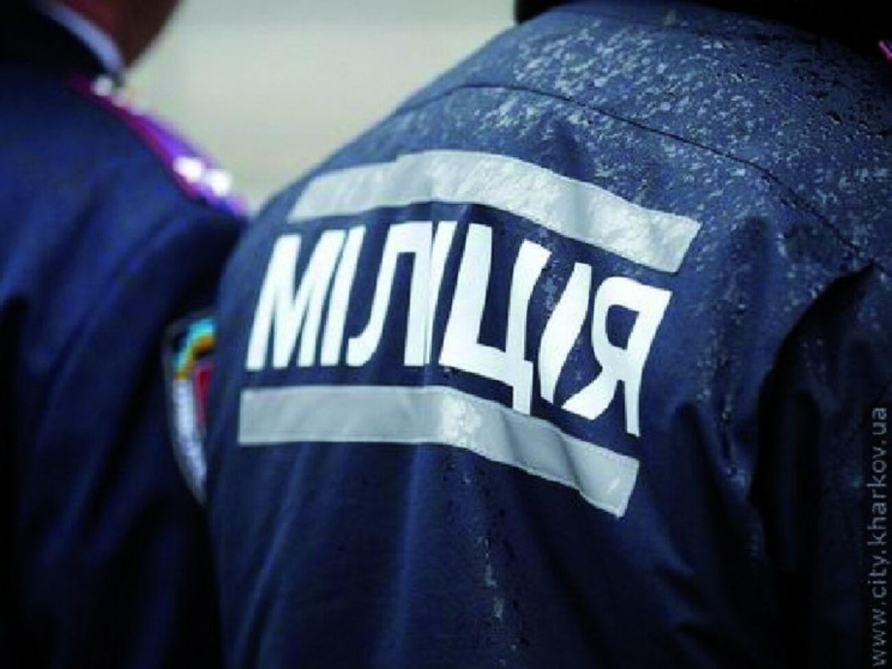 Милиция обнаружила в автомобиле оружие