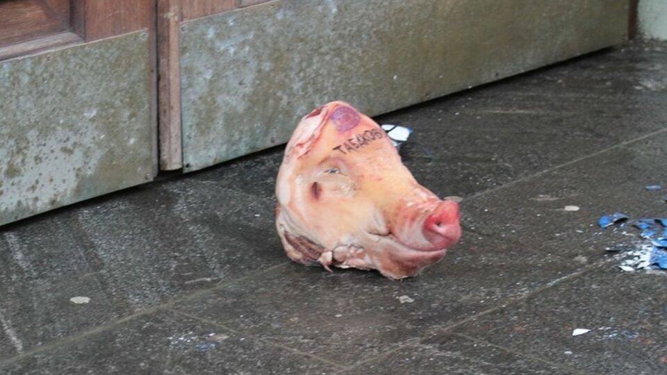 Активисты принесли свиную голову худруку театра Олегу Табакову