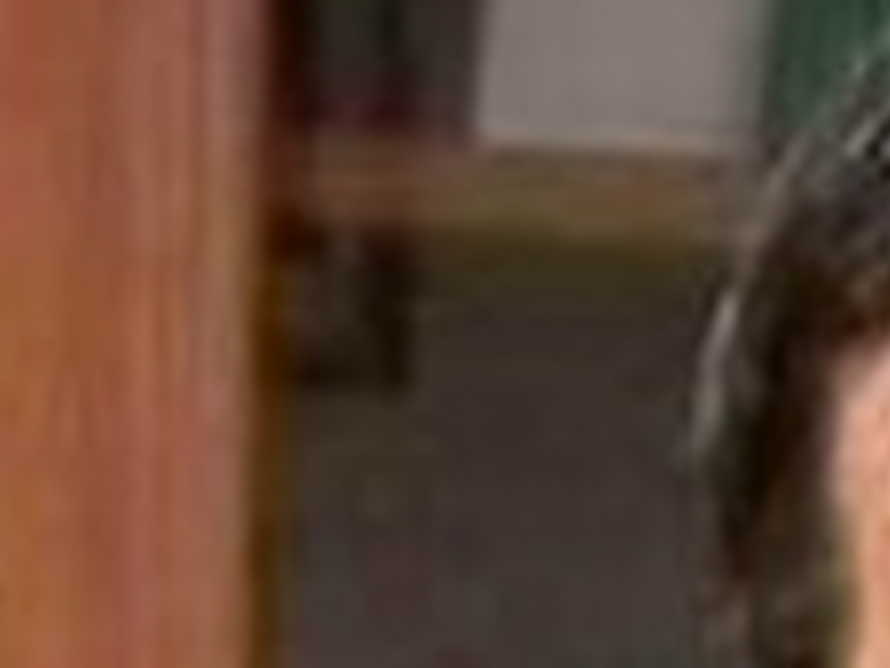 В столичном СИЗО Мохнаткин находился в связи с рассмотрением его апелляции Московским городским судом