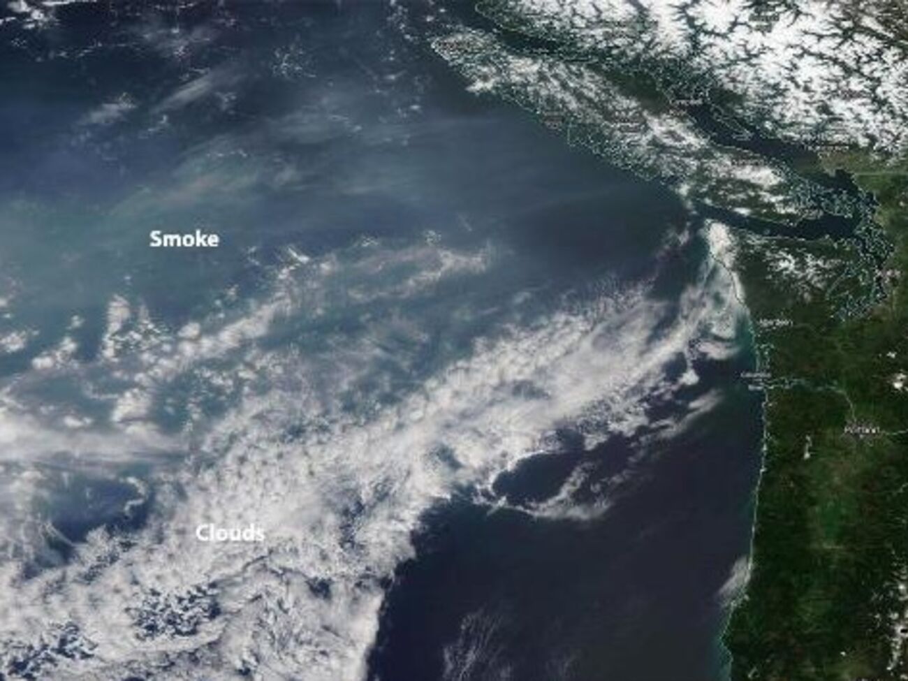 На западном побережье США небо окутано дымом от пожаров в России