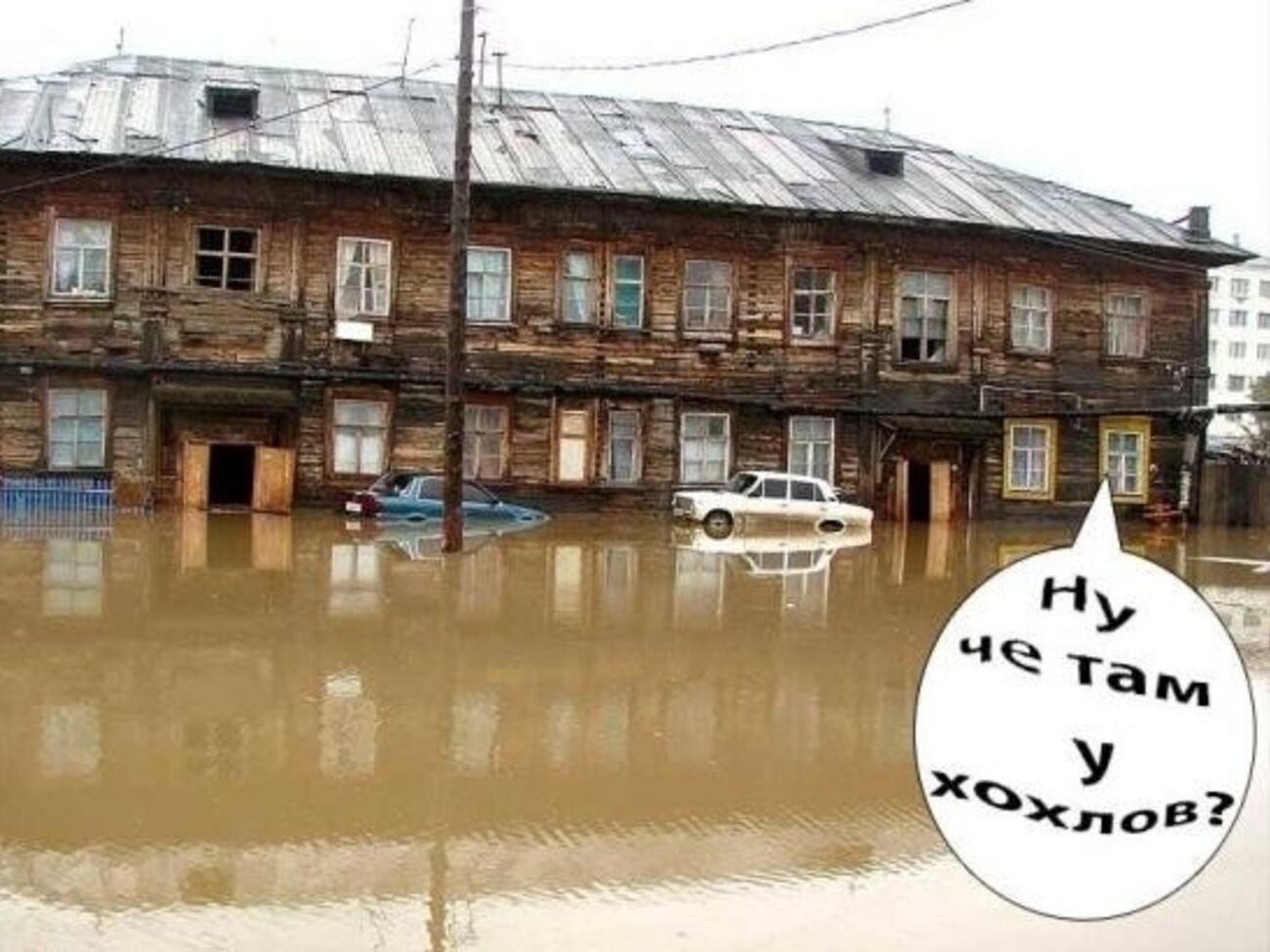 Мем&nbsp;#четамухохлов быстро приобрел популярность в украинском интернете