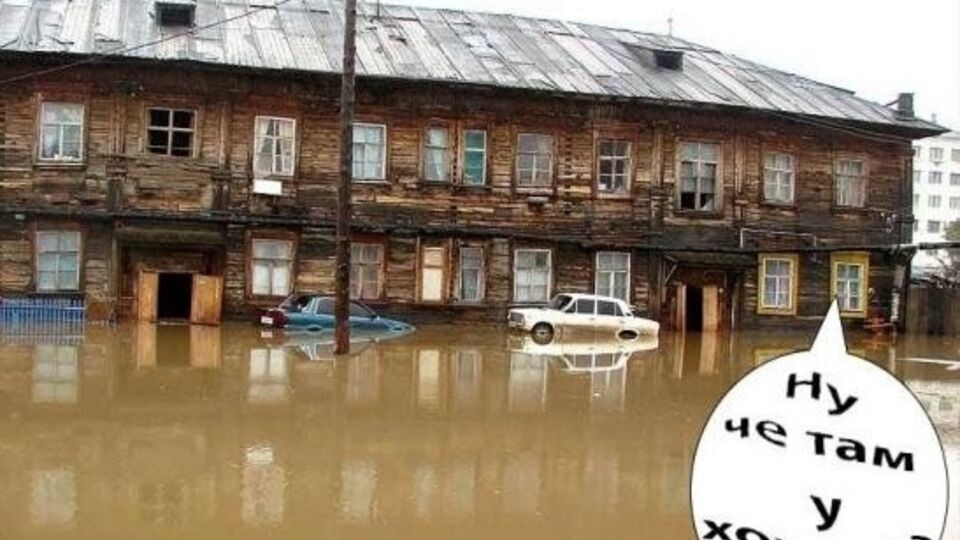 Мем #четамухохлов быстро приобрел популярность в украинском интернете