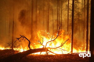 В России бушуют лесные пожары