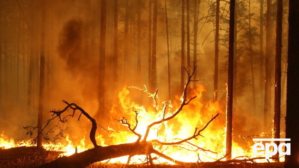 В России бушуют лесные пожары