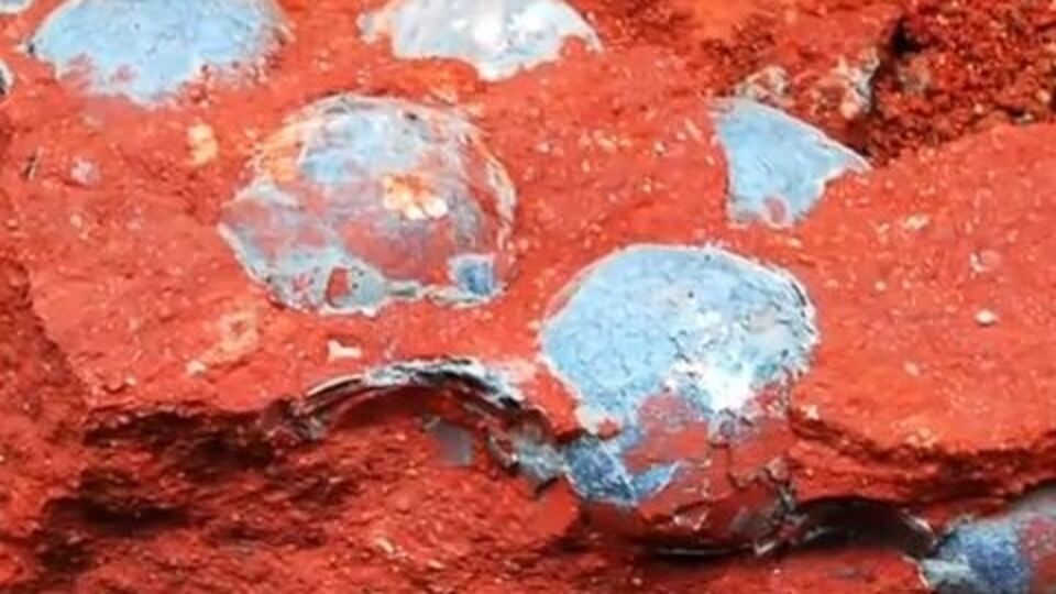 Пока определить возраст кладки и назвать вид, к которому принадлежали детеныши, ученые не смогли