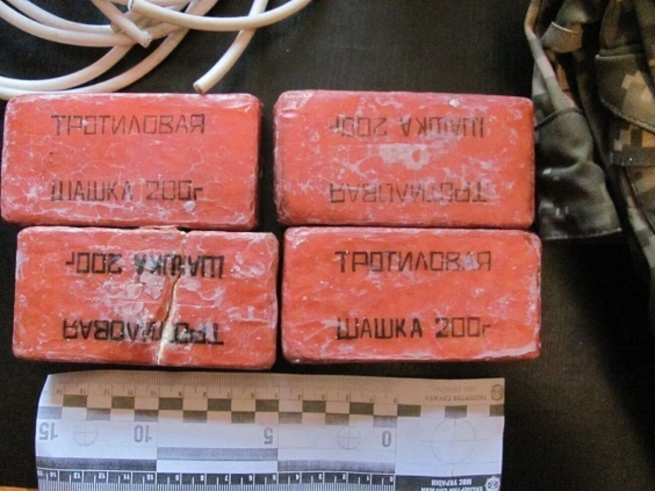 Взрывчатку изъяли в присутствии понятых