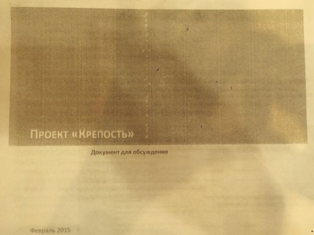 Первая страница документа, опубликованного Найемом