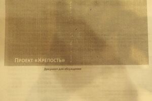 Первая страница документа, опубликованного Найемом