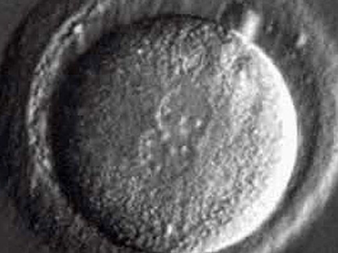 Подобные эксперименты считаются неэтичными