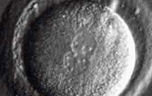 Подобные эксперименты считаются неэтичными