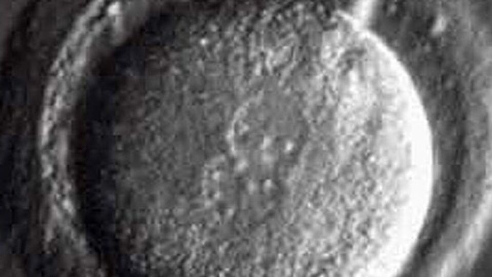 Подобные эксперименты считаются неэтичными