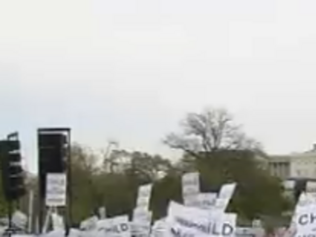 Организатором манифестации выступила Национальная организация в защиту брака при поддержке консервативных религиозных групп