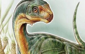 Так художник представил чилизавра