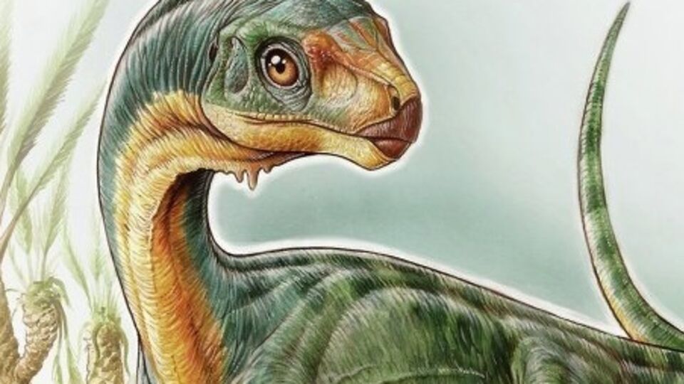 Так художник представил чилизавра